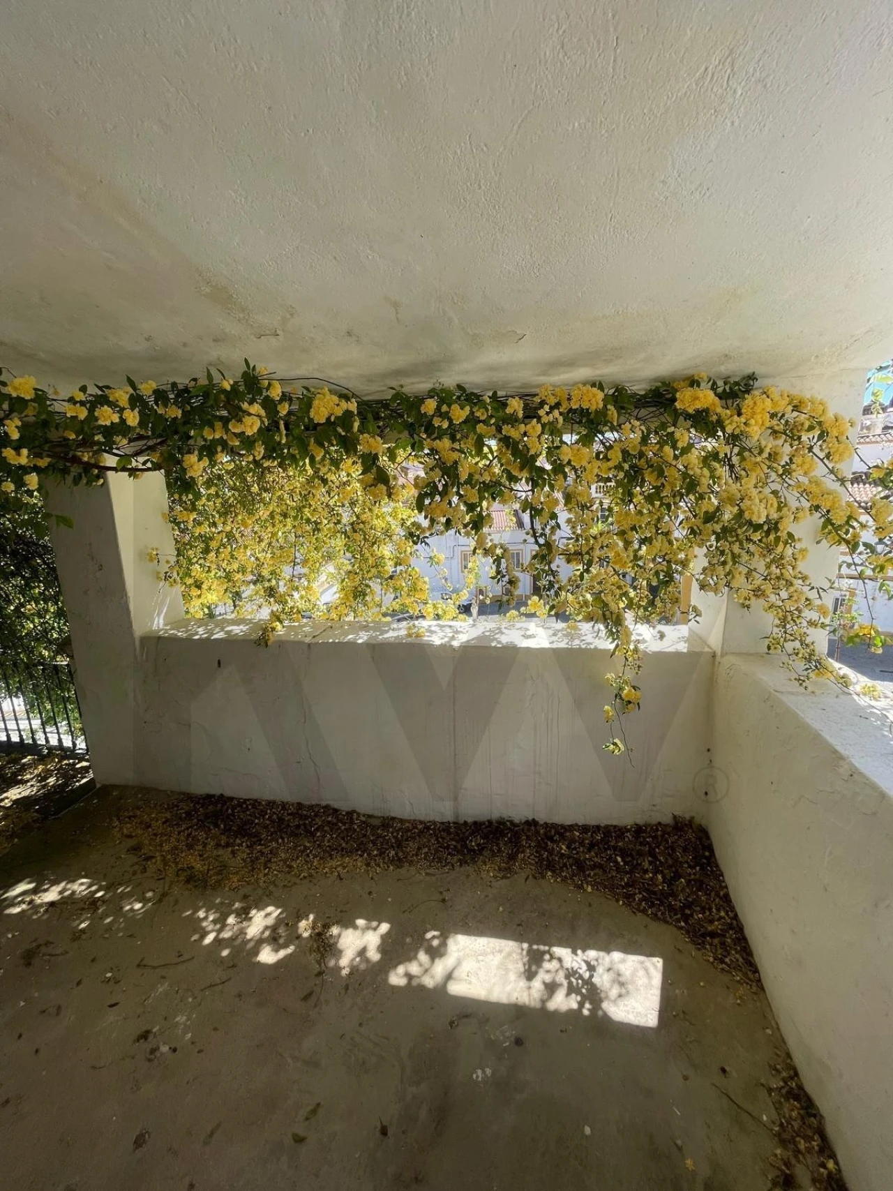 Moradia T3 para Venda em Barbacena e Vila Fernando Foto 24