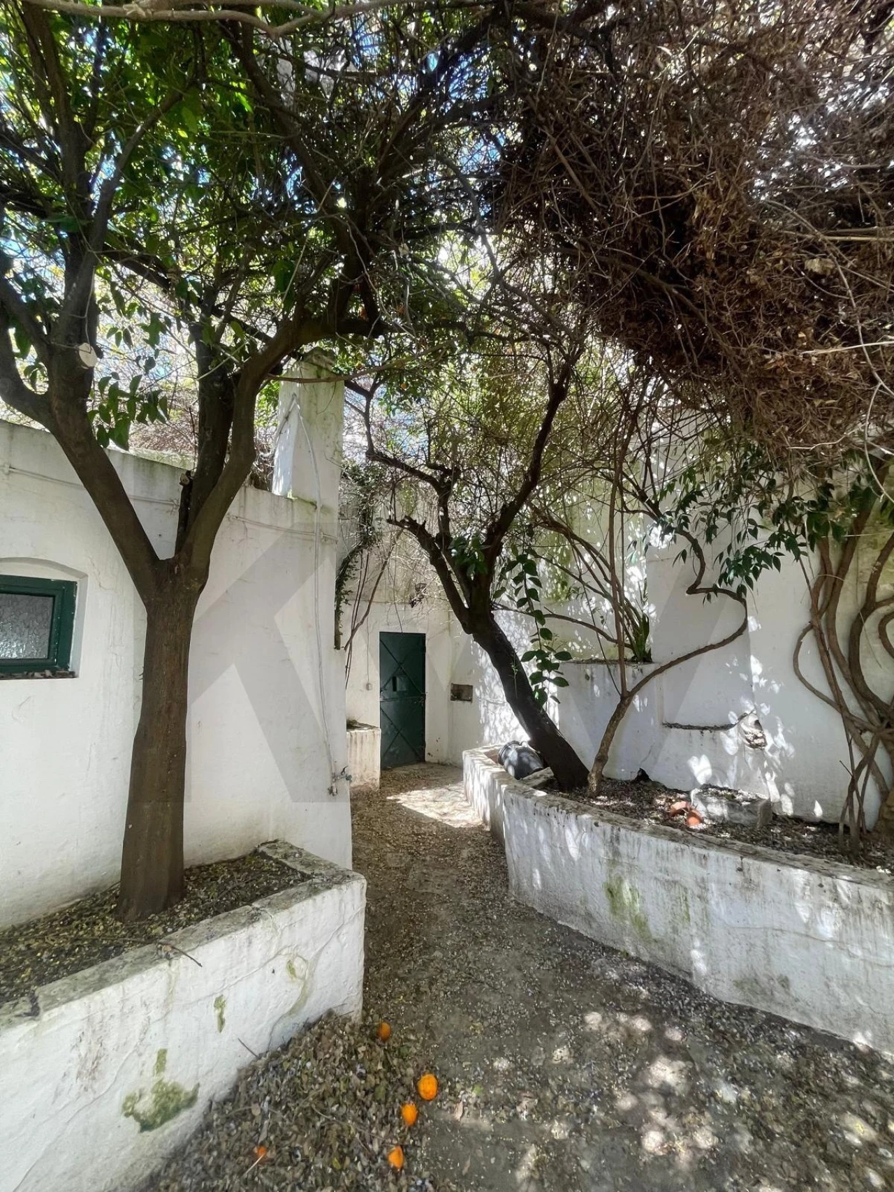 Moradia T3 para Venda em Barbacena e Vila Fernando Foto 39