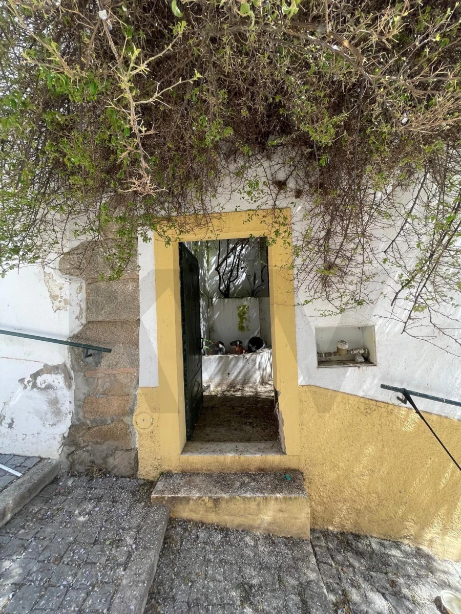 Moradia T3 para Venda em Barbacena e Vila Fernando Foto 6