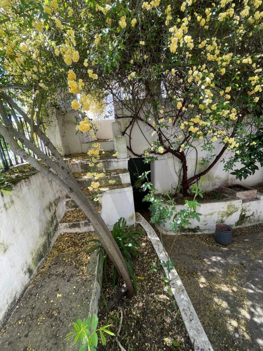 Moradia T3 para Venda em Barbacena e Vila Fernando Foto 19