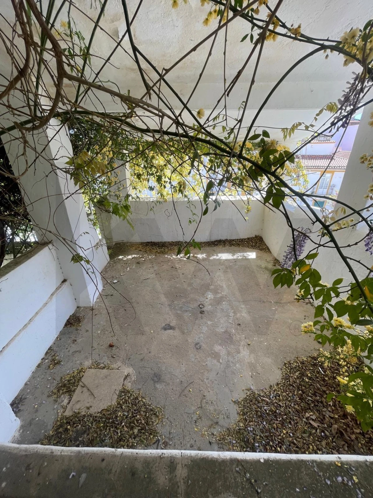 Moradia T3 para Venda em Barbacena e Vila Fernando Foto 38