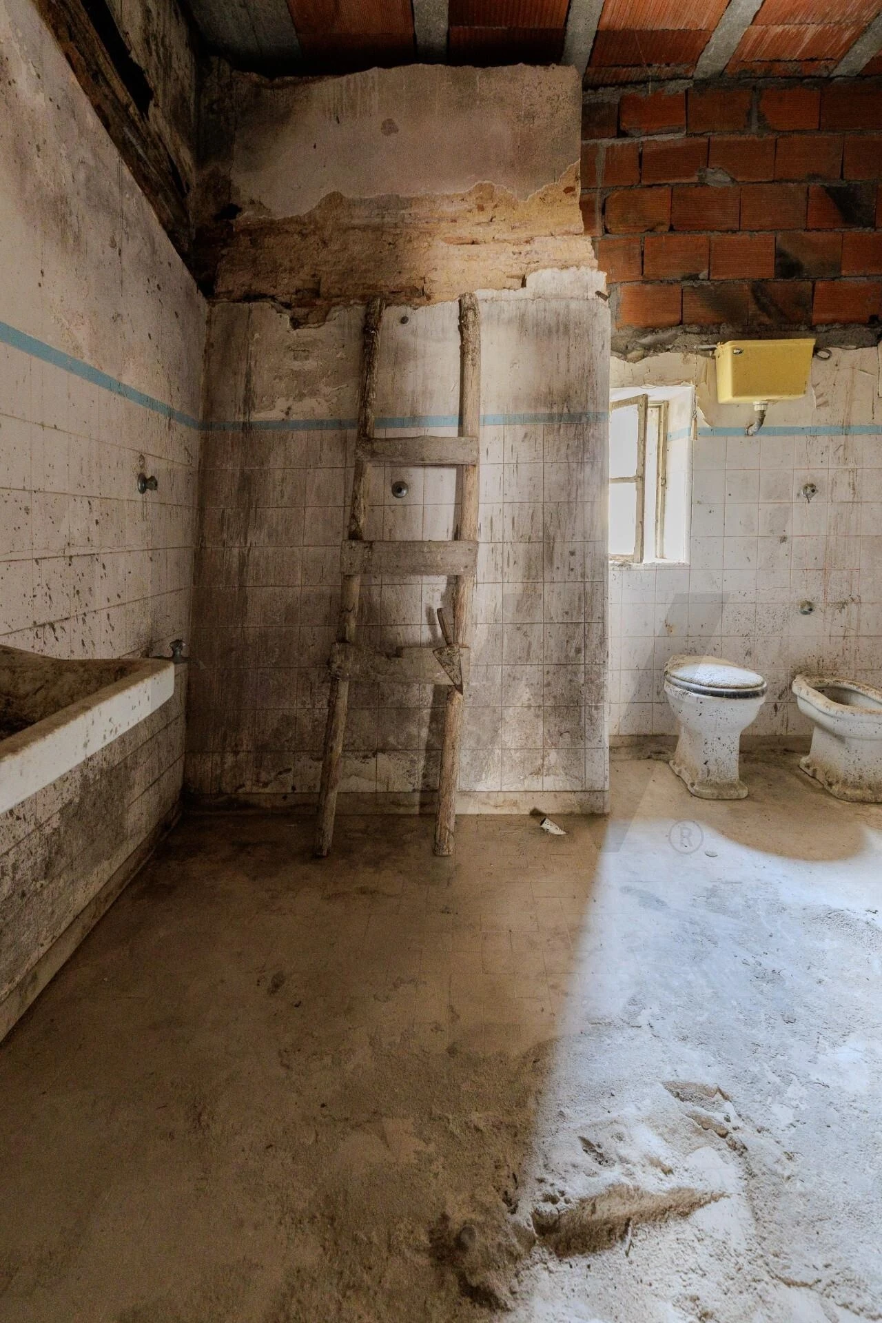 Prédio para Venda em Romeira e Várzea Foto 42