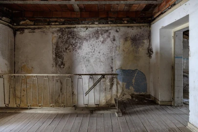 Prédio para Venda em Romeira e Várzea