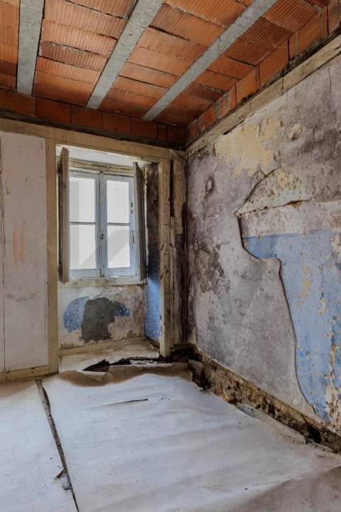 Prédio para Venda em Romeira e Várzea