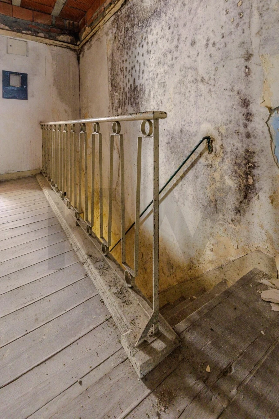 Prédio para Venda em Romeira e Várzea Foto 36