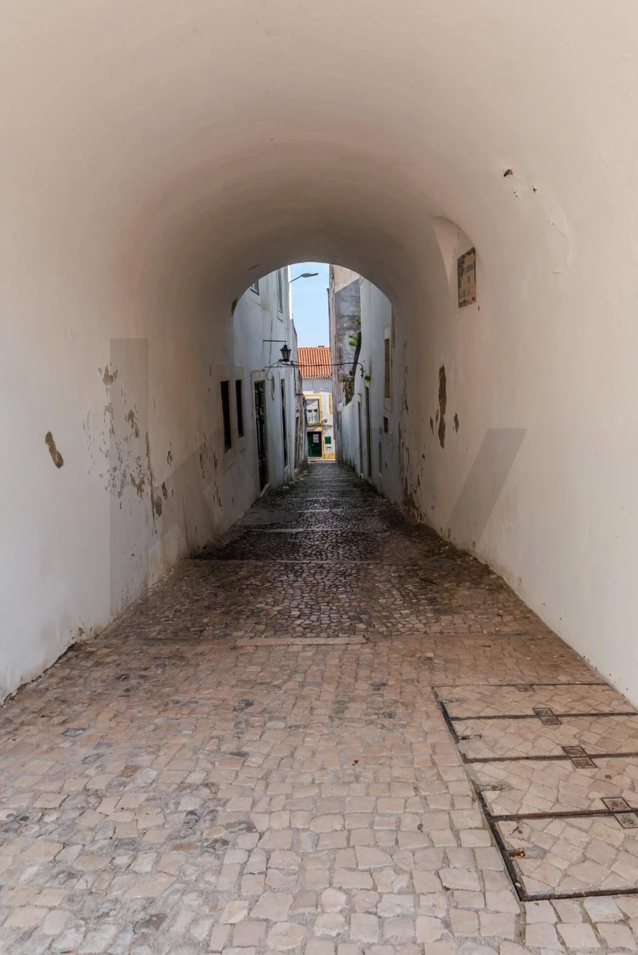 Prédio para Venda em Romeira e Várzea Foto 64