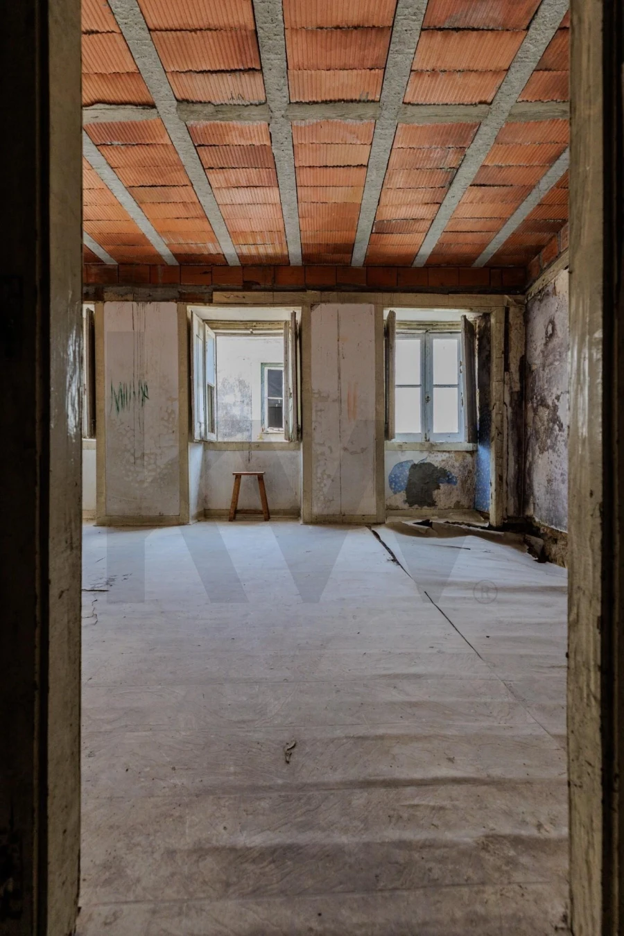 Prédio para Venda em Romeira e Várzea Foto 38