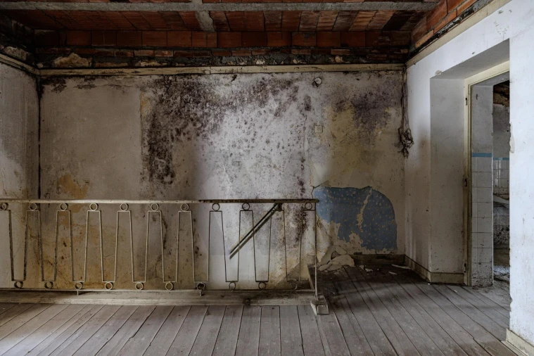 Prédio para Venda em Romeira e Várzea Foto 45