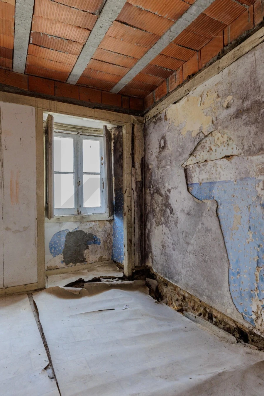 Prédio para Venda em Romeira e Várzea Foto 39