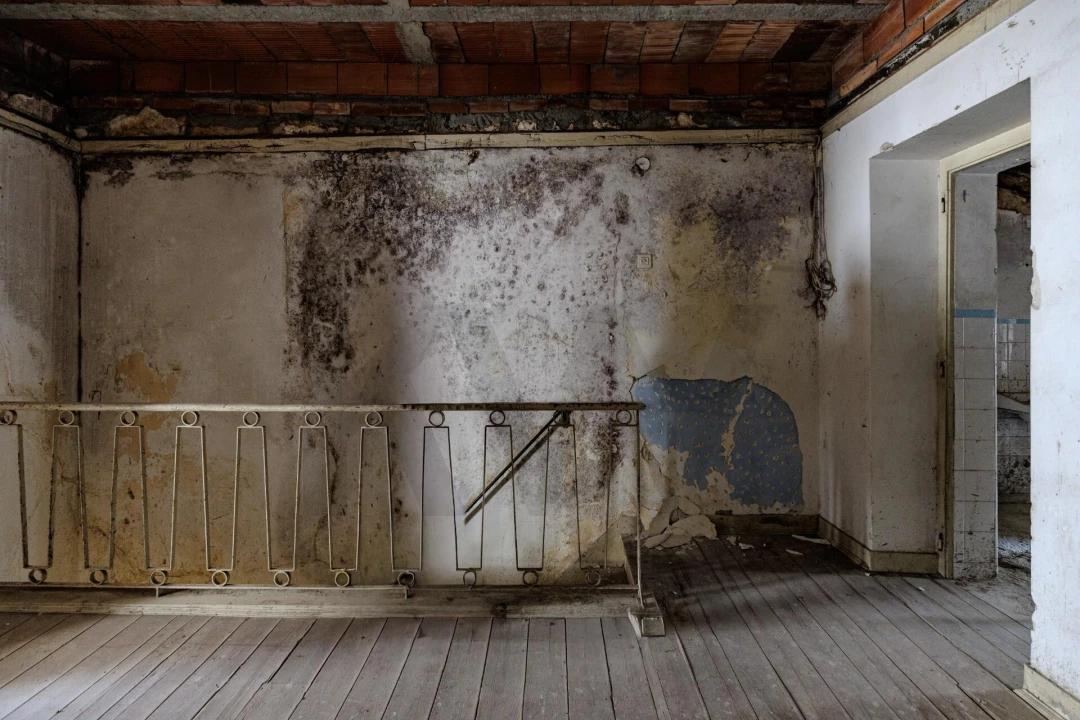 Prédio para Venda em Romeira e Várzea Foto 45