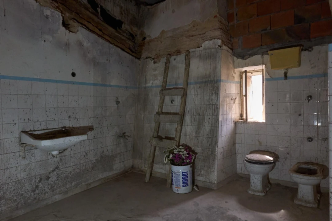 Prédio para Venda em Romeira e Várzea Foto 43