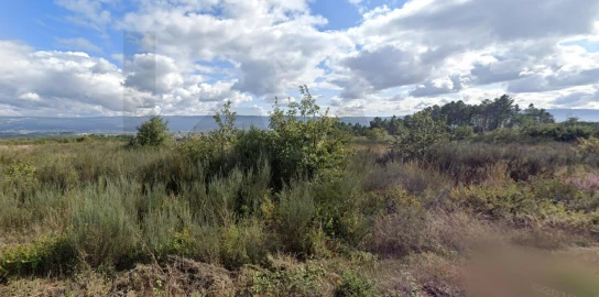 Terreno para Venda em Outeiro Seco