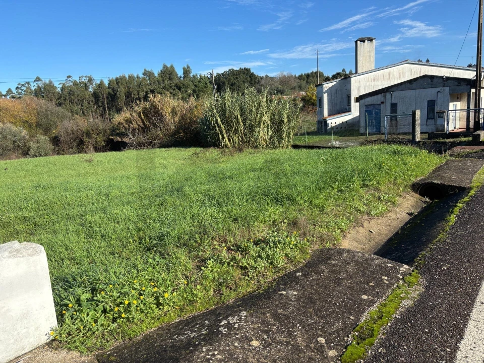 Terreno para Venda em Olalhas Foto 5