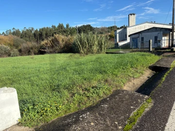 Terreno para Venda em Olalhas