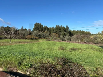 Terreno para Venda em Olalhas