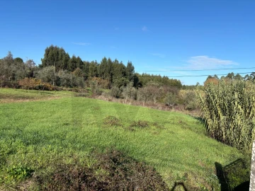 Terreno para Venda em Olalhas
