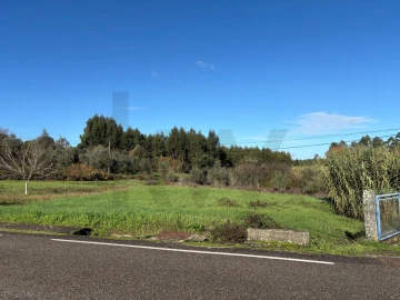 Terreno para Venda em Olalhas