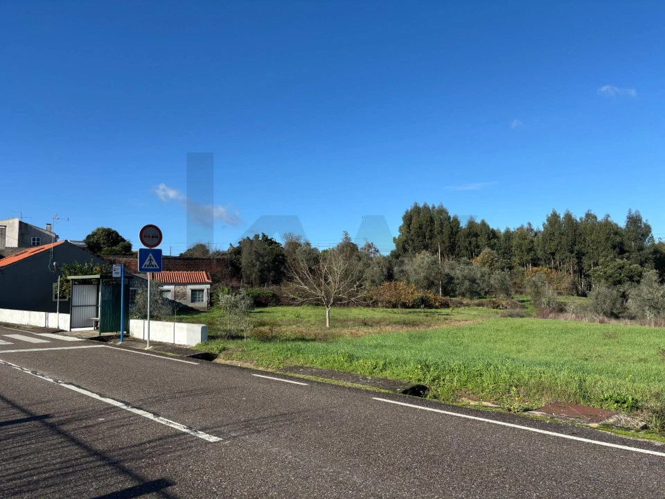 Terreno para Venda em Olalhas Foto 6