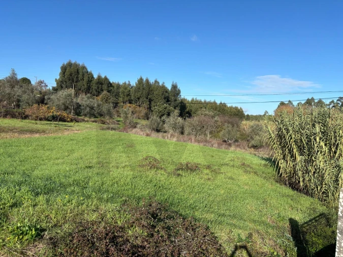 Terreno para Venda em Olalhas Foto 2