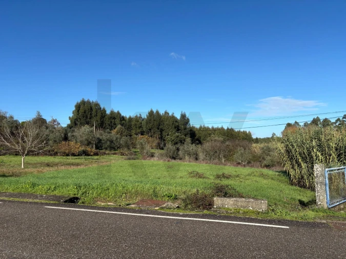 Terreno para Venda em Olalhas Foto 4