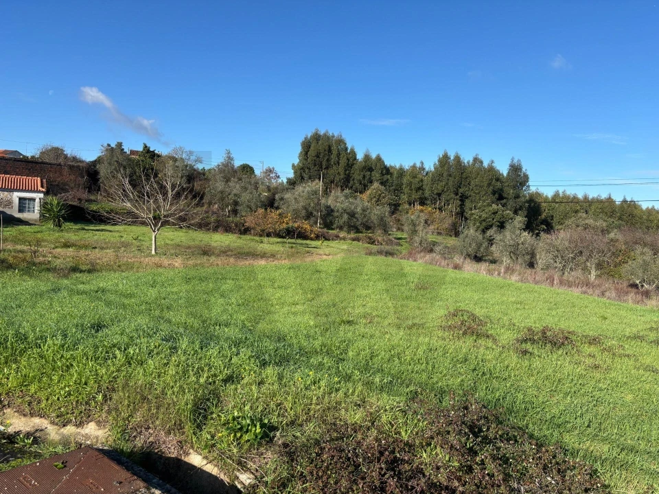 Terreno para Venda em Olalhas Foto 3