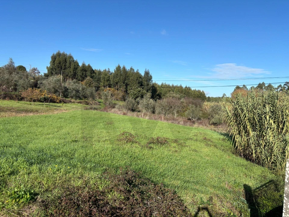 Terreno para Venda em Olalhas Foto 2