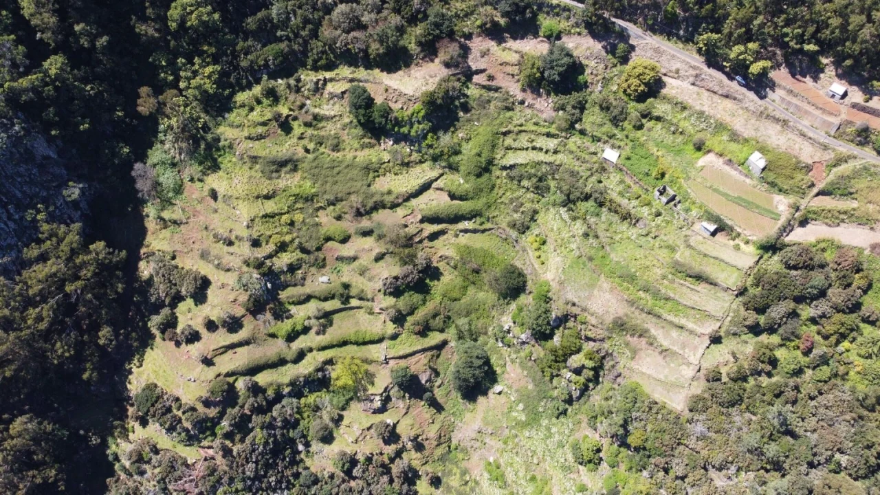 Terreno para Venda em Santa Cruz Foto 15