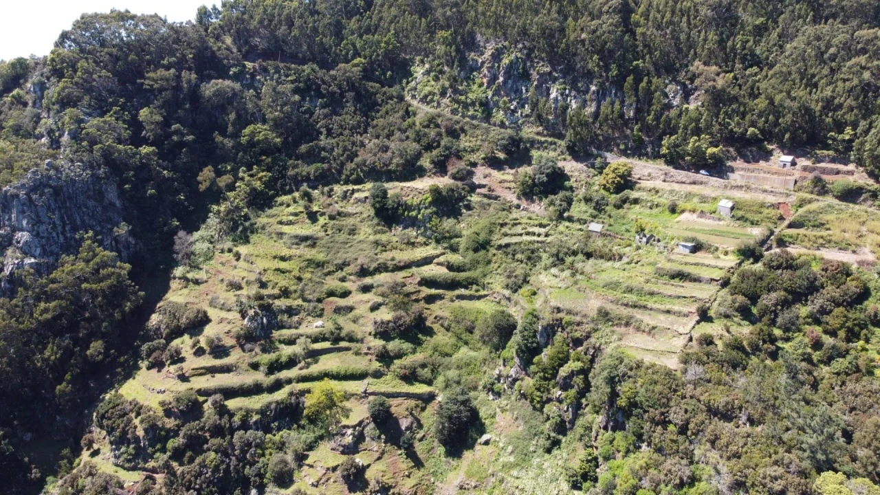 Terreno para Venda em Santa Cruz Foto 13