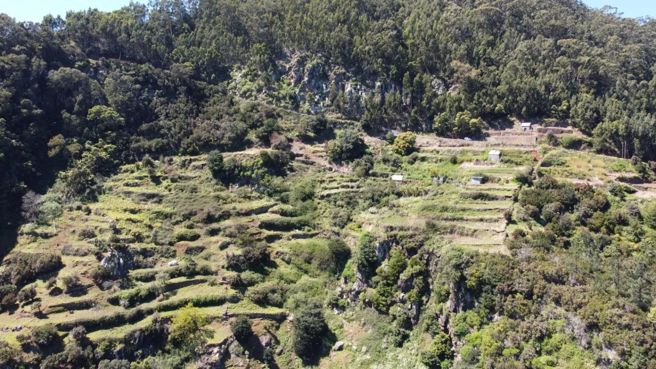 Terreno para Venda em Santa Cruz Foto 12