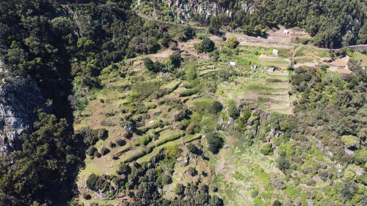 Terreno para Venda em Santa Cruz Foto 4