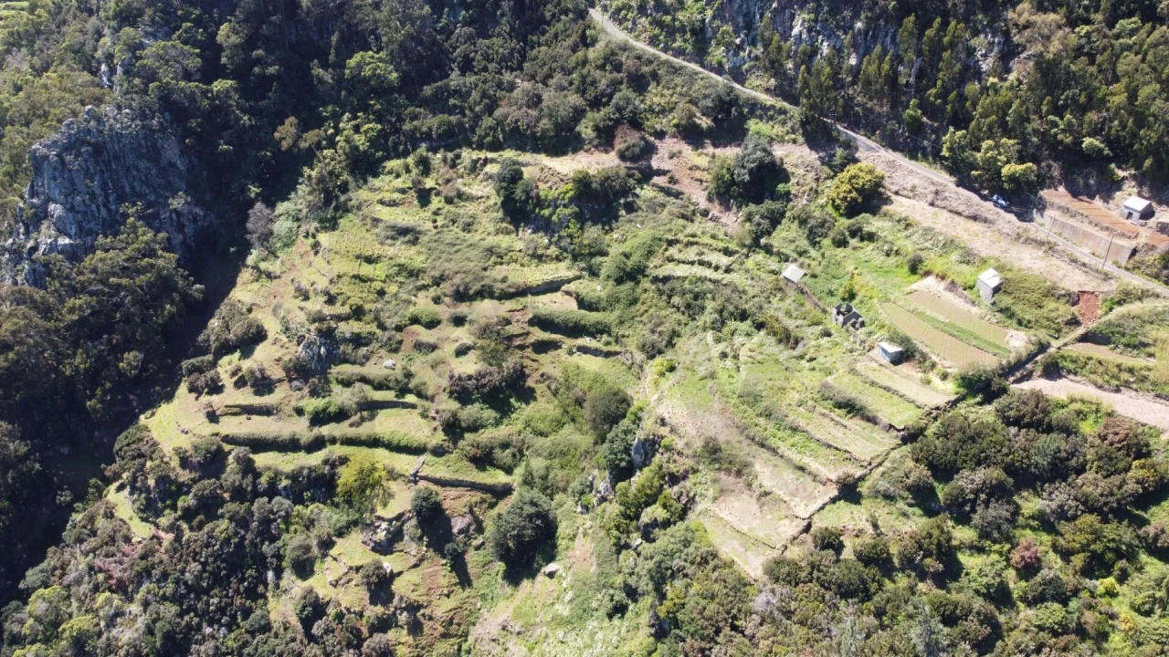 Terreno para Venda em Santa Cruz Foto 18