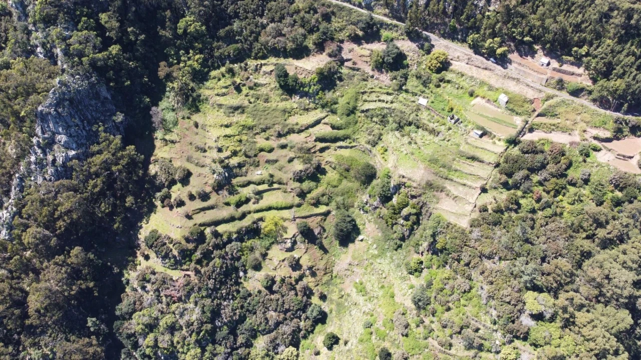 Terreno para Venda em Santa Cruz Foto 14