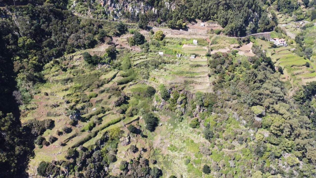 Terreno para Venda em Santa Cruz Foto 7