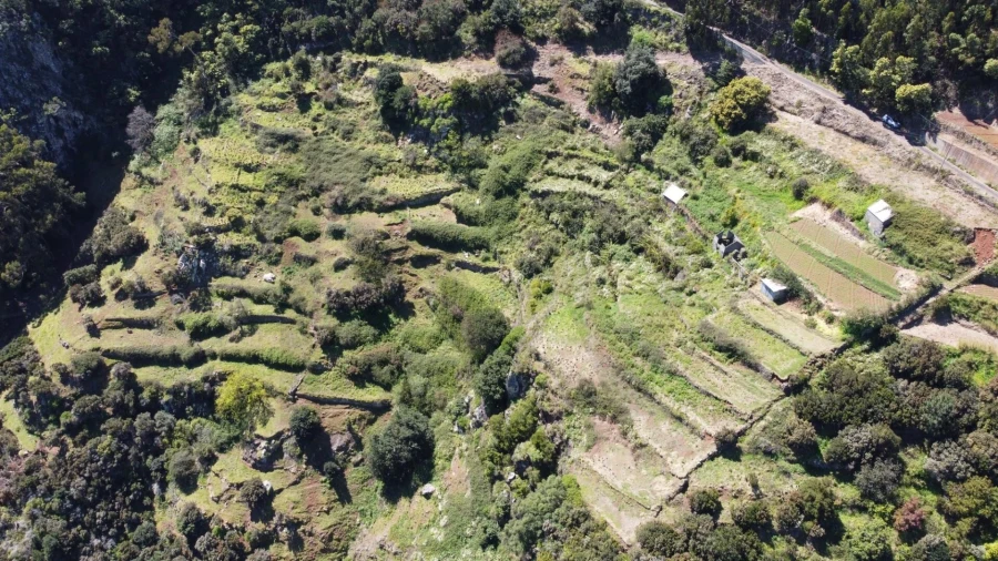 Terreno para Venda em Santa Cruz Foto 17