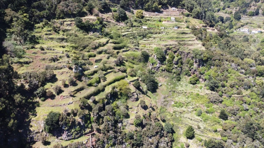 Terreno para Venda em Santa Cruz Foto 10