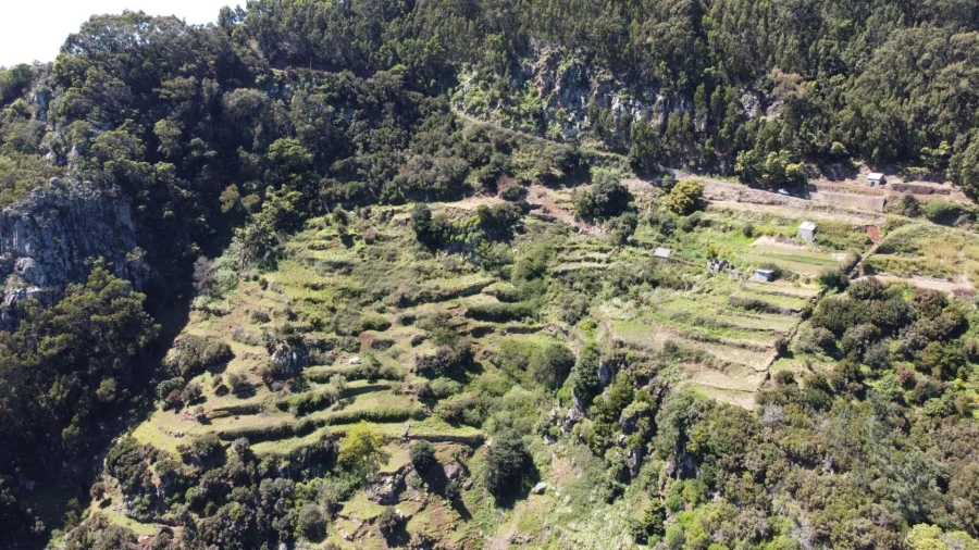 Terreno para Venda em Santa Cruz Foto 13