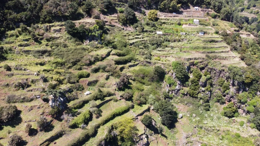 Terreno para Venda em Santa Cruz Foto 9