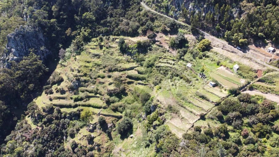 Terreno para Venda em Santa Cruz Foto 18