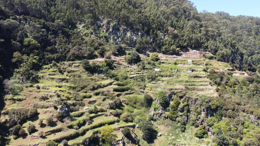 Terreno para Venda em Santa Cruz Foto 11