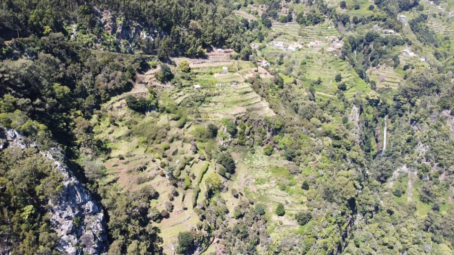 Terreno para Venda em Santa Cruz Foto 16