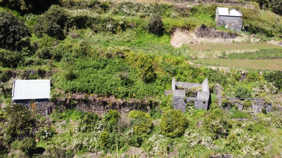 Terreno para Venda em Santa Cruz Foto 8