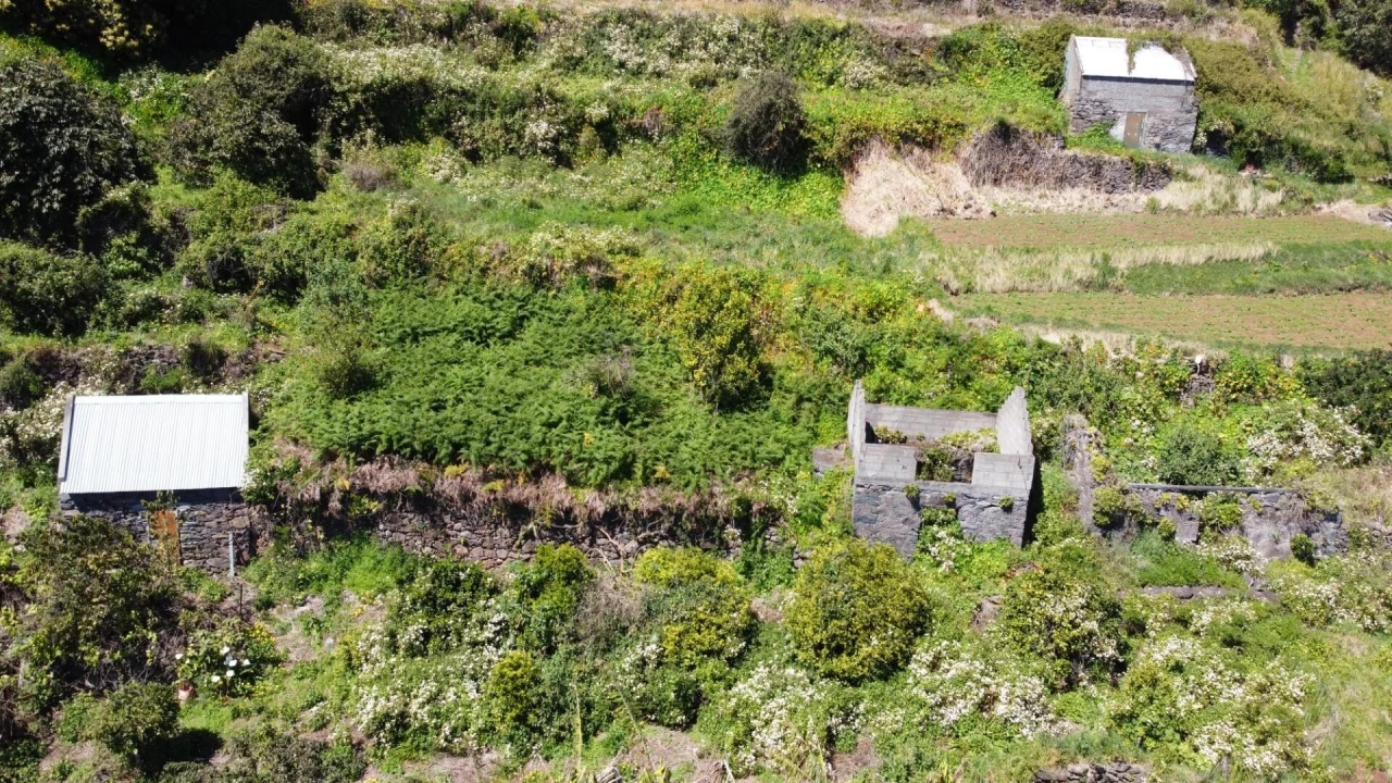 Terreno para Venda em Santa Cruz Foto 8