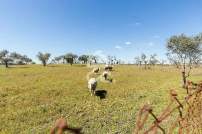 Moradia T3 para Venda em Portel