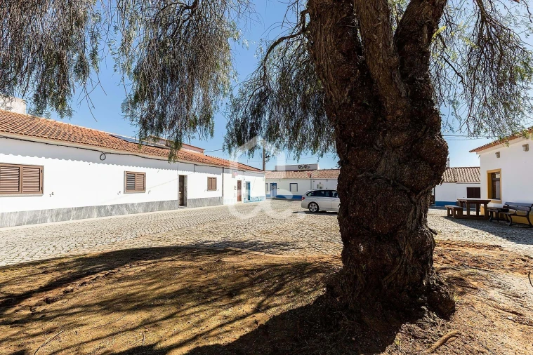 Moradia T3 para Venda em Portel Foto 53