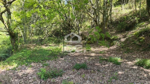 Moradia T2 para Venda em Abragão