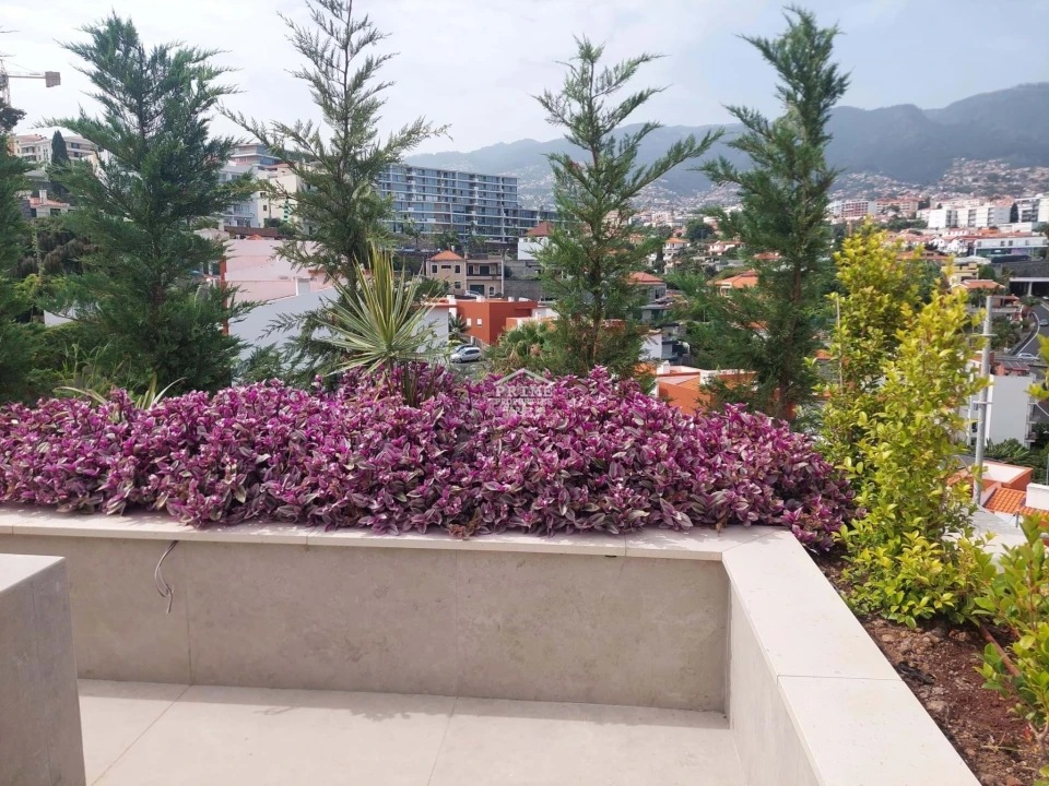 Apartamento T3 para Venda em São Martinho Foto 34