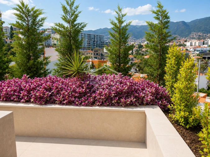 Apartamento T2 para Venda em São Martinho Foto 33