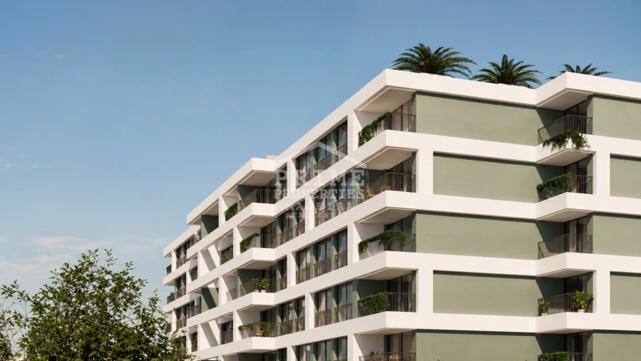 Apartamento T1 para Venda em São Martinho Foto 31