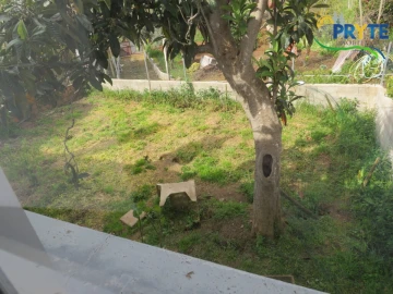 Moradia T2 para Venda em Sertã