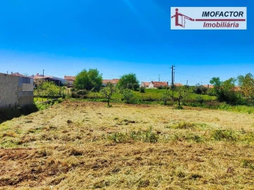 Quinta para Venda em Ladoeiro